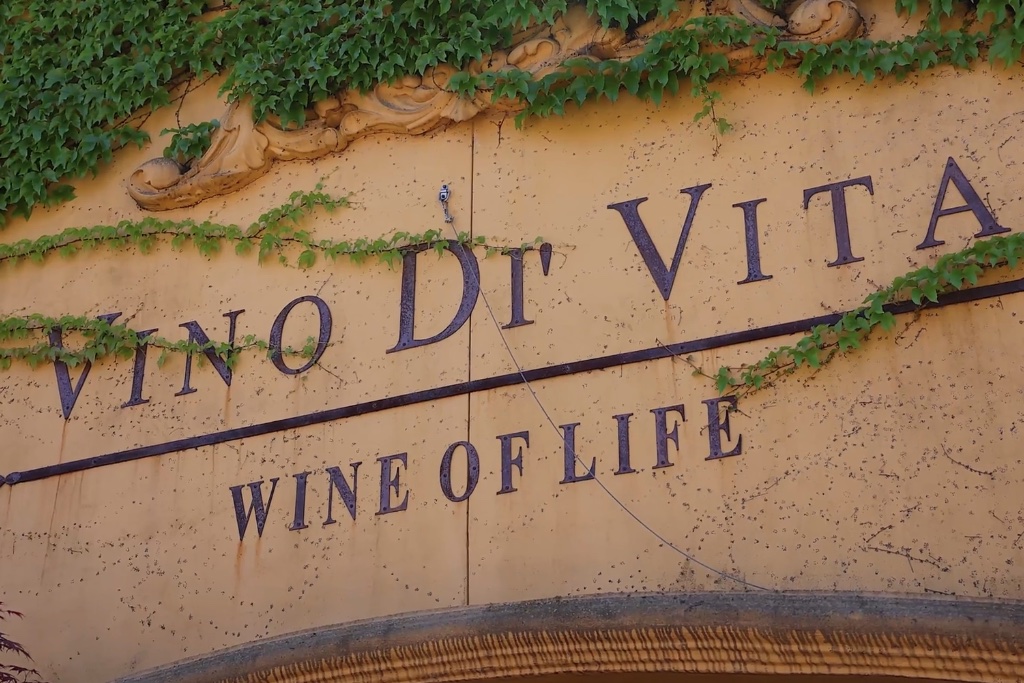 Vino Di Vita wine of life sign 