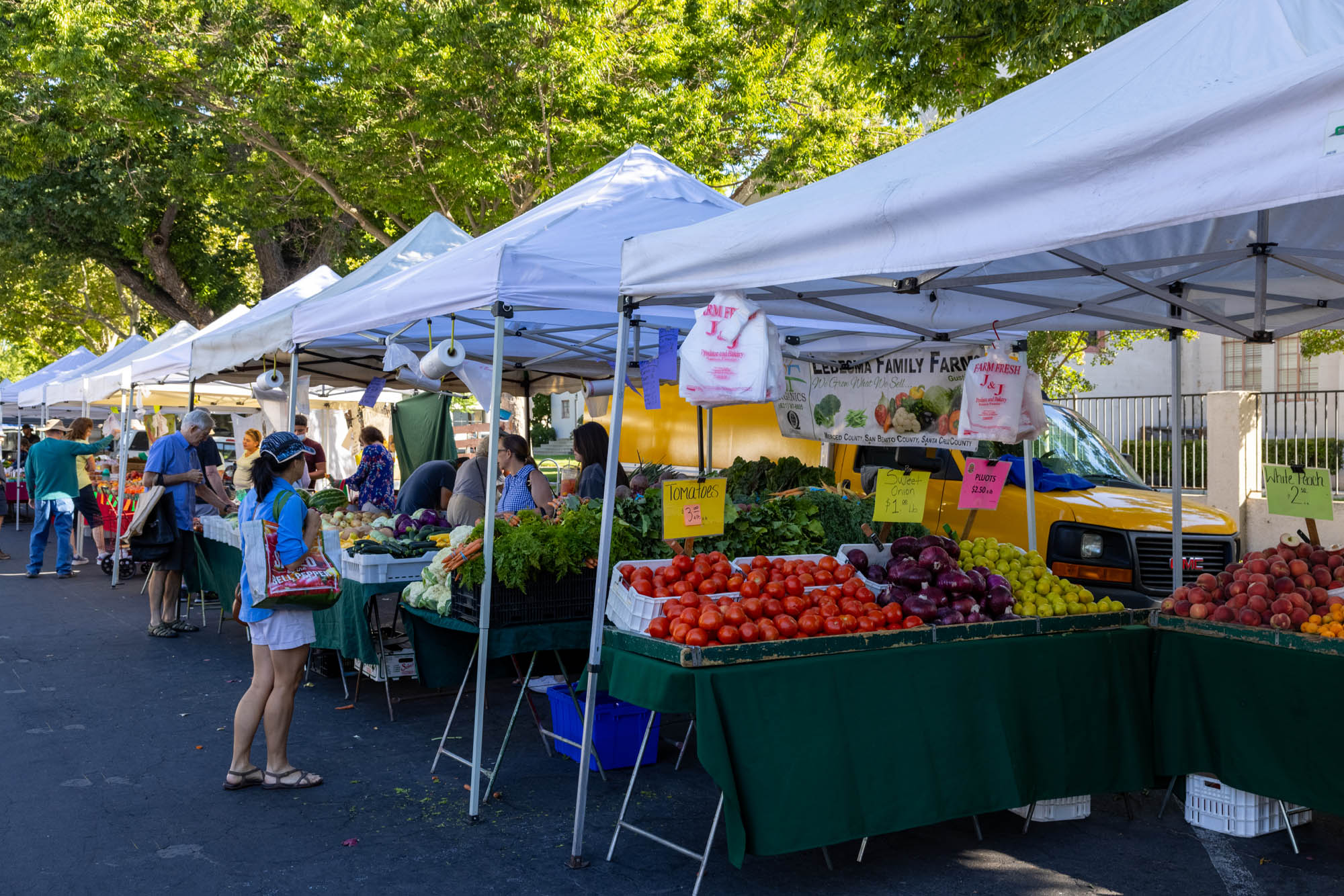 Modesto Farmers Market